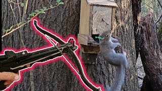 Squirrel Hunting w 80lb Pistol CrossbowM48 Hell Hawk [upl. by Konopka]