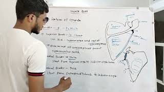 Scapula Bone Anatomy Part1  Human Anatomy Lecture MBBS 1st Year MBBS SSMedicoResearch [upl. by O'Neil601]