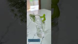 LeaFriend Plant Propagation Gadget You Didnt Know You Needed Display Single Stems Gardening Gift [upl. by Reibaj]