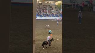 Rodeo time in Greeley Colorado rodeo horses [upl. by Dnilasor]