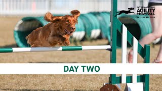 The Kennel Club International Agility Festival 2024  Day 2 Main Ring [upl. by Anson]