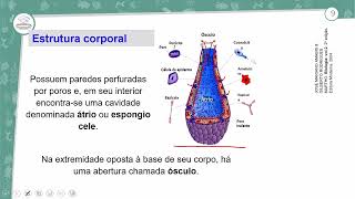 91  PORÍFEROS CNIDÁRIOS PLATELMINTOS E NEMATÓIDES  BIOLOGIA  2º ANO EM  AULA 912023 [upl. by Pearce]