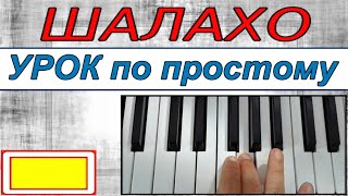 ШАЛАХОУпрощённый УРОК синтезаторShalaxoСкачать стиль 68 для KORG [upl. by Pavla]