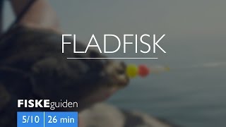 FISKEguiden 510 Fladfisk [upl. by Ahsoet]