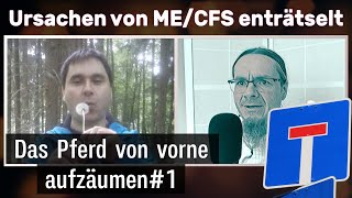 Das Pferd von vorne aufzäumen  Ursachenmedizin für ME CFS 1 [upl. by Files]