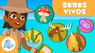 Clasificación de los SERES VIVOS 🦠 🐰 5 REINOS 🌱 Ciencias para niños [upl. by Chavez]