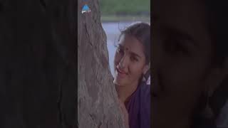 Hey Marikozhundhu Video Song  Pudhu Nellu Pudhu Naathu Movie Songs  Sukanya  Ilayaraja  ytshorts [upl. by Gredel]