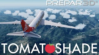 TomatoShade Complete amp Easy Setup Guide for P3D V4X [upl. by Begga]