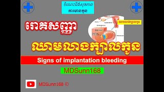 រោគសញ្ញា ឈាមលាងក្បាលកូន l Implantation bleeding signs l សញ្ញាមានកូន l MDSunn168 [upl. by Wehrle666]