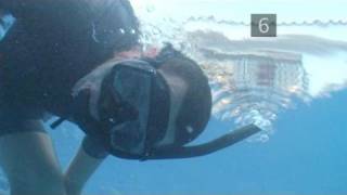 How To Snorkel Safely [upl. by Atima]