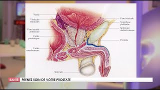 COMMENT COMPRENDRE ENFIN LA PROSTATE [upl. by Ahswat488]