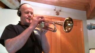 Michael Brecker and Randy Brecker solo transcriptions on quotStraphanginquot [upl. by Neneek]