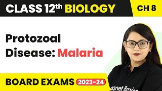 Protozoal Disease Malaria  Human Health amp Disease  Class 12 Biology Chapter 8 202223 [upl. by Oleusnoc]