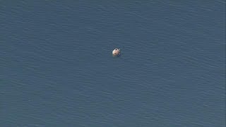 SkyKING flies over unexploded mine in Puget Sound off Bainbridge Island [upl. by Tavy]