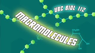 Introduction to Macromolecules  Biol 112 at UBC [upl. by Yekcir38]