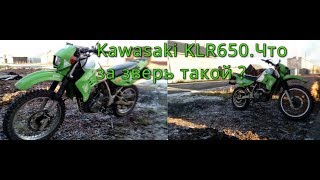 Kawasaki KLR650Обзор мотоциклаЧто за зверь такой [upl. by Addison638]