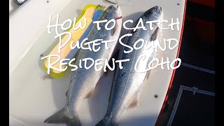 How to catch Puget Sound Resident Coho  2023 [upl. by Didier274]