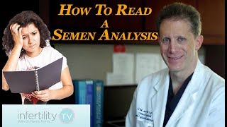 How to read a semen analysis  Infertility TV [upl. by Inor]