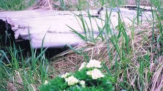 Recovery of WWII Plane Wreck in Alaska Calpernias Story [upl. by Bret]