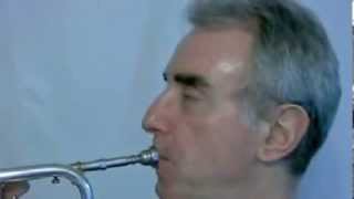 Trompetenkurs Ansatz und Atmung trumpet embouchure and breathing [upl. by Eeroc]