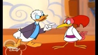 Disney’s House of Mouse Season 3 Episode 5 Donald and the Aracuan Bird [upl. by Adila]