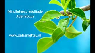 Mindfulness meditatie  Ademfocus [upl. by Byrne]