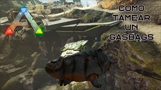 Como tamear un Gasbag de manera fácil y rápida En Ark Survival Evolved [upl. by Greggory236]