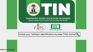 Check and Verify Your TIN Tax Identification Number Online in Nigeria [upl. by Onifled450]