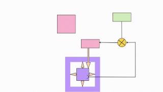 Examentraining V6 Homeostase en regelkring [upl. by Shirah473]