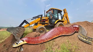 Jcb 3dx Backhoe Loading Dirt In Tata 2518 Tipper Truck Stuck In Mud  Jcb backhoe  jcb Dumper [upl. by Halsy771]