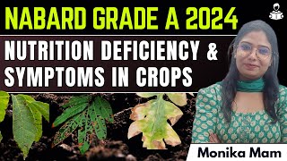 Nutrition Deficiency amp Symptoms of Crops for NABARD Grade A 2024 Exam [upl. by Lymn]