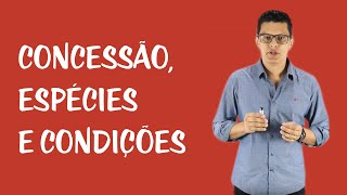 Suspensão Condicional da Pena  Concessão Espécies e Condições [upl. by Einaffyt755]