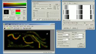 Coagula 1666 Sound Spectrogram Painting [upl. by Nerej]