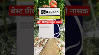 kavach fungicide  chlorothalonil 75 wp  drpunitshishodia agriculture fungicide [upl. by Nwahshar]