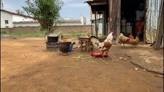 African Village style cooking of Tuwo Cinkafa and Karikashi Soup [upl. by Tezil]