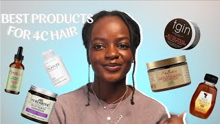 THE BEST HAIR PRODUCTS FOR DRY 4C NATURAL HAIR 2023  High Porosity Hair [upl. by Aivat]