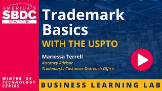 Trademark Basics with the USPTO [upl. by Nyhagen]