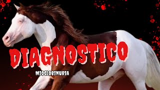 Cómo Diagnosticar y Tratar la Mioglobinuria en Caballos [upl. by Johns]