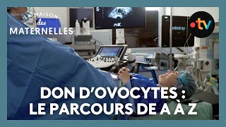 Don dovocytes  le parcours de A à Z – La maison des Maternelles LMDM [upl. by Dielle632]