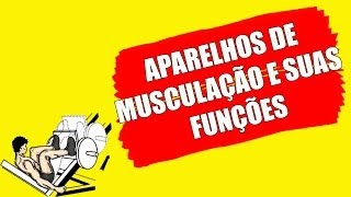 APARELHOS DE MUSCULAÇÃO E SUAS FUNÇÕES [upl. by Atirabrab368]