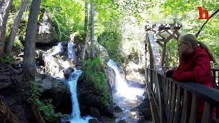 Myrafälle  schönste Wasserfälle in Niederösterreich  Austrias answer to Niagarafalls [upl. by Neeluqcaj]