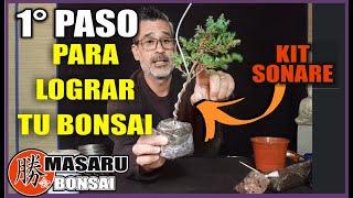 COMO HACER UN BONSAI CON EL KIT DE INICIACIÓN JUNIPEROS  JUNIPERUS BONSAI 💚 SONARE bonsai tree [upl. by Berenice]