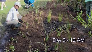 Building a Rain Garden in Virginia Beach [upl. by Porter616]