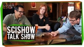 All About Poop Plus a Tortoise SciShow Talk Show 15 [upl. by Iblehs]