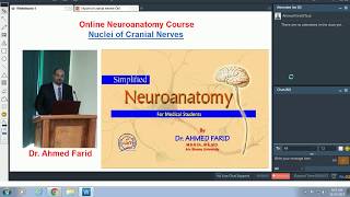 Nuclei of Cranial Nerves  Dr Ahmed Farid [upl. by Kucik]