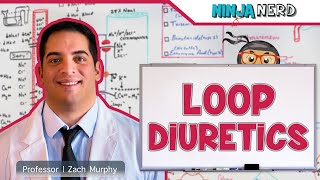 Loop Diuretics  Mechanism of Action Indications Adverse Reactions Contraindications [upl. by Ppilihp586]