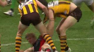 AFL Essendon Vs Hawthorn Round 22 Matthew Lloyd clash with Brad Sewell [upl. by Bonita]