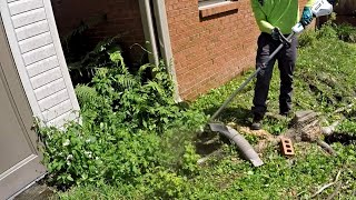 HART 40 Volt String Trimmer  New Tall Weeds For Torture Testing [upl. by Olivette406]