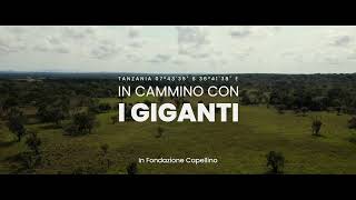 Habitat amp Corridors in cammino con i giganti [upl. by Thurnau]