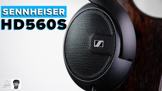 Sennheiser HD 560S Review  Best headphone under 200 [upl. by Barrington]